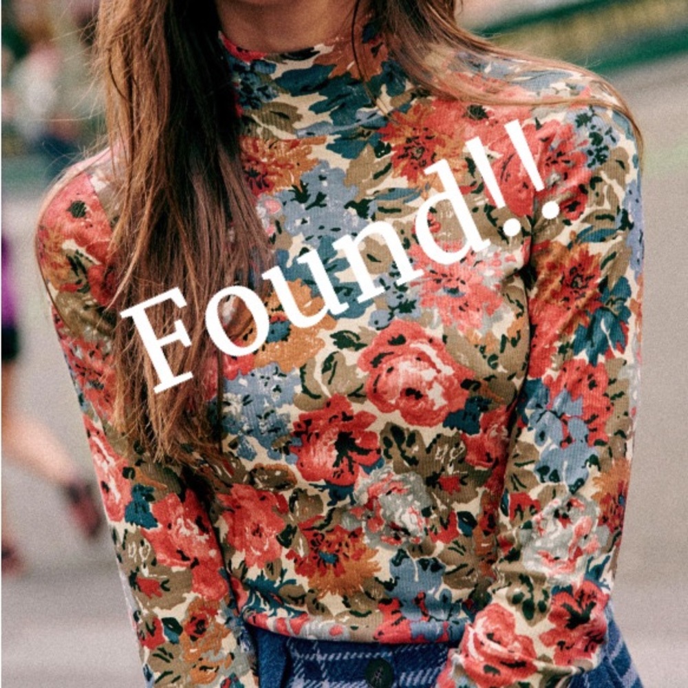 *Found!* Felix Jumper in October Flowers